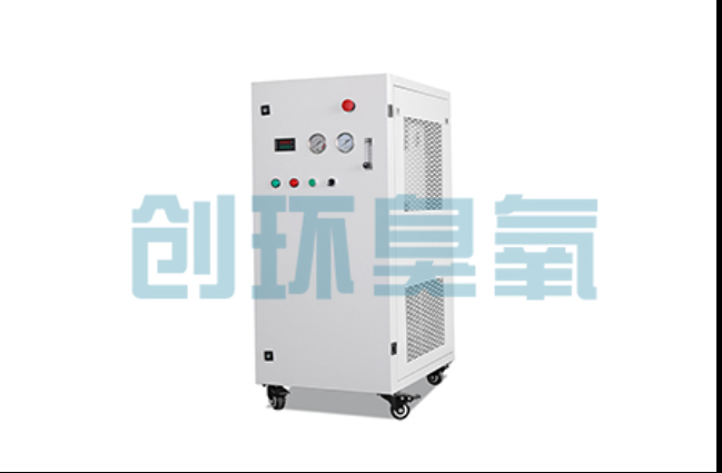 淮南工厂化养鲈必看：2026年臭氧发生器替代传统消毒的最新方案