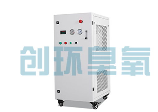 淮南石斑鱼养殖水质调控完整指南：臭氧发生器配置与操作步骤