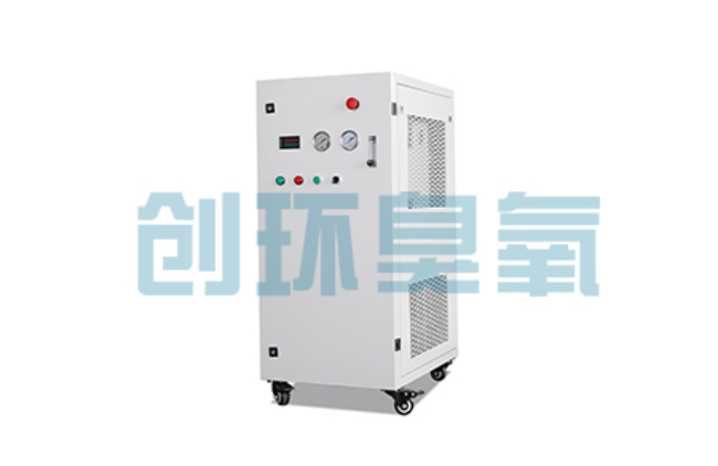淮南比传统换水更高效？臭氧发生器在石斑鱼养殖中的水质净化原理解析